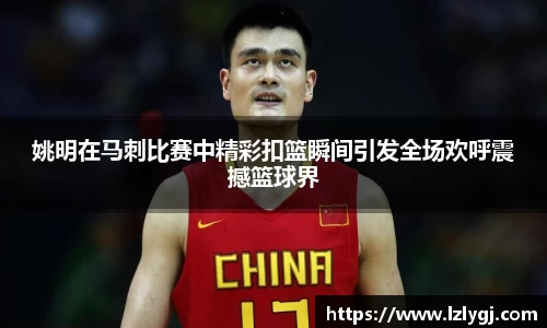 zoty中欧官网