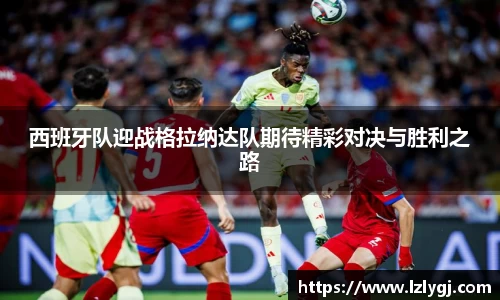 中欧体育