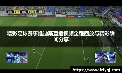 zoty中欧官方网站